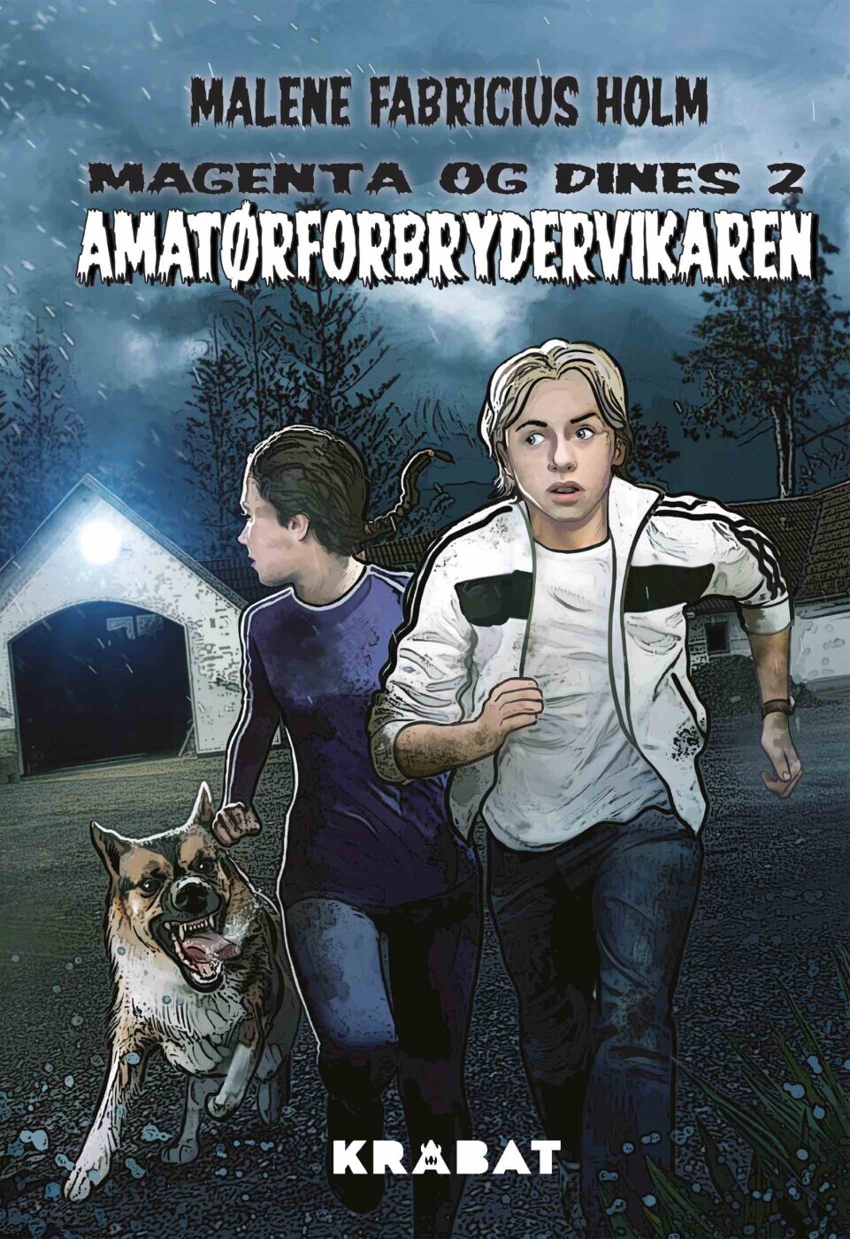 Amatørforbrydervikaren - Malene Fabricius Holm - Bog