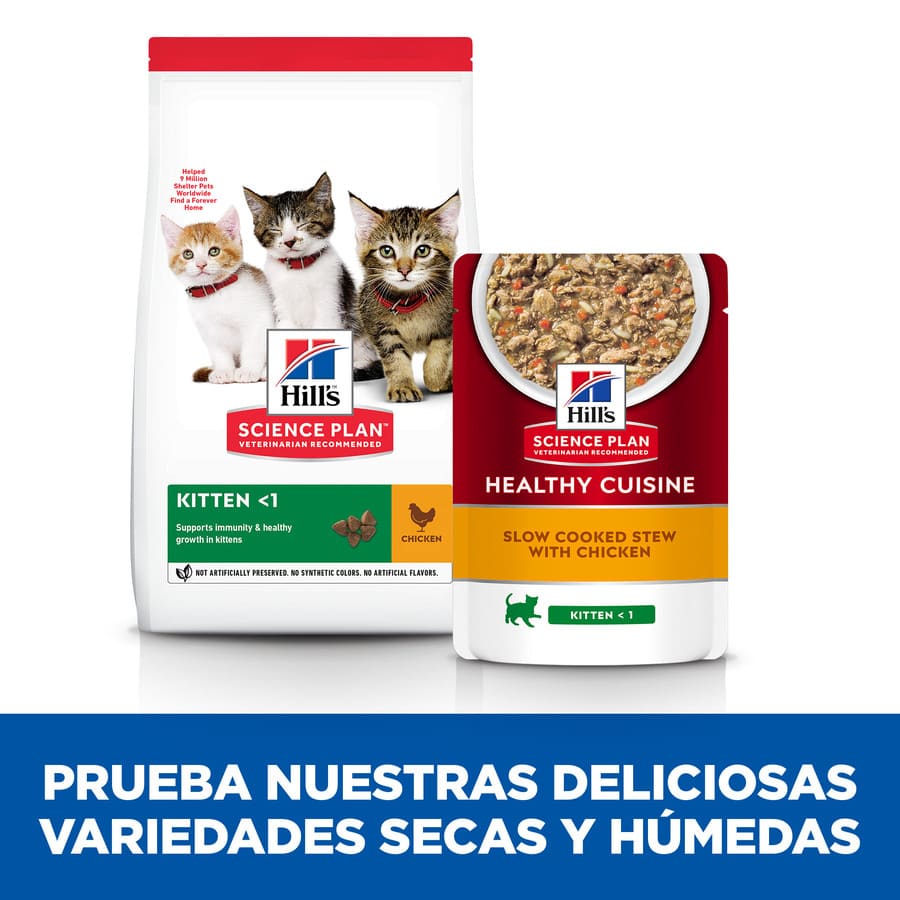 Sachê de Ensopado de Frango e Legumes Hill's Science Plan Kitten Healthy Cuisine