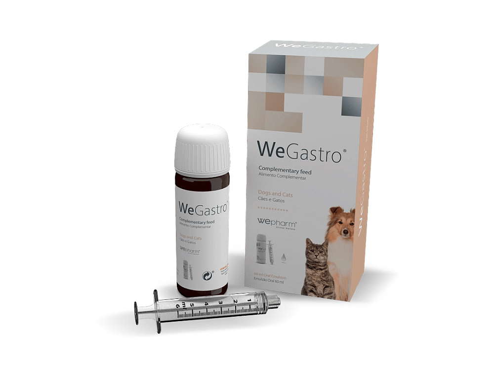 Wepharm Wegastro Hond Kat 60 ml | 13067
