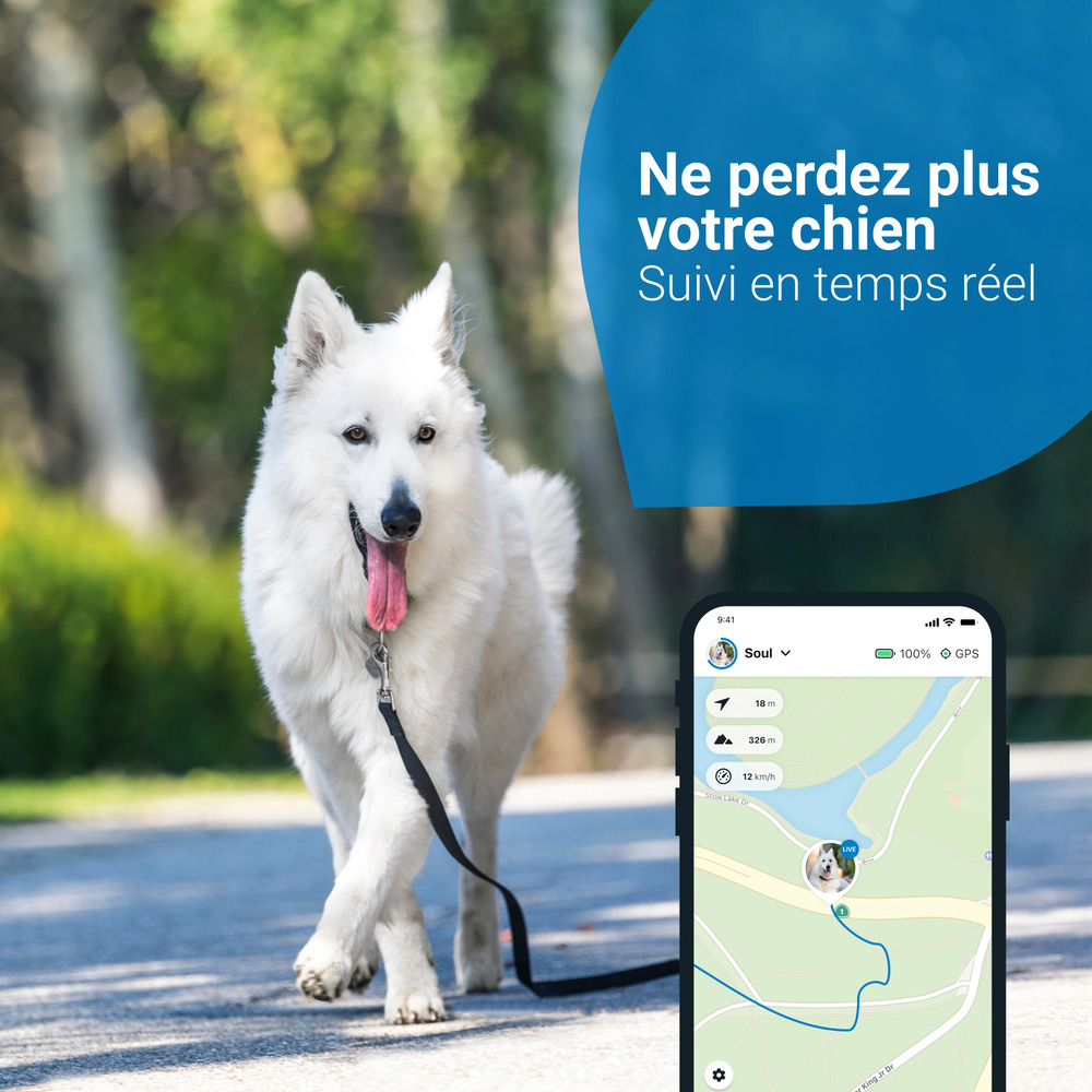 Tractive GPS DOG 4 - collier GPS pour chien avec suivi d'activité - Bleu nuit