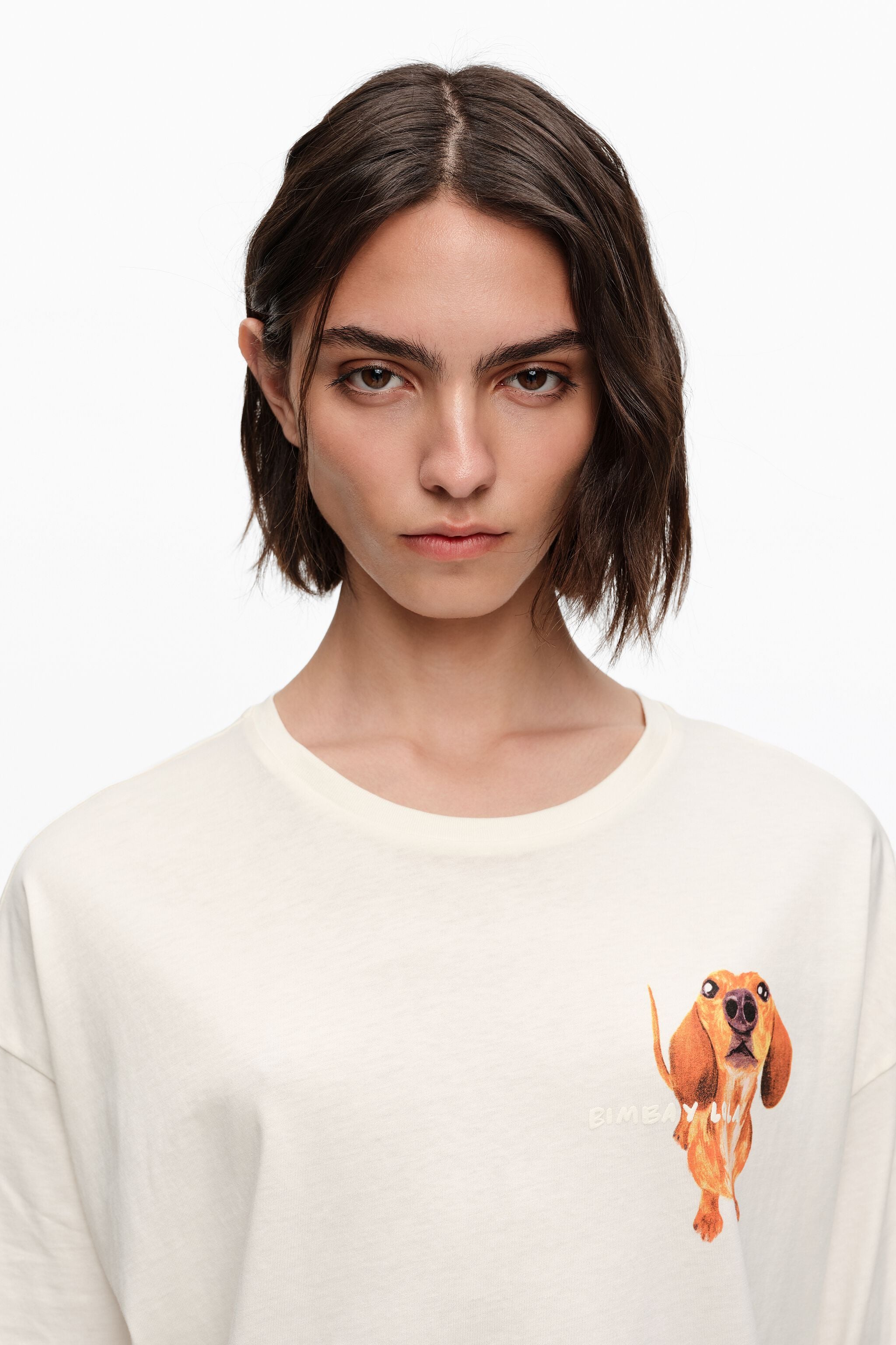 Camiseta com o logotipo de um dachshund cor marfim