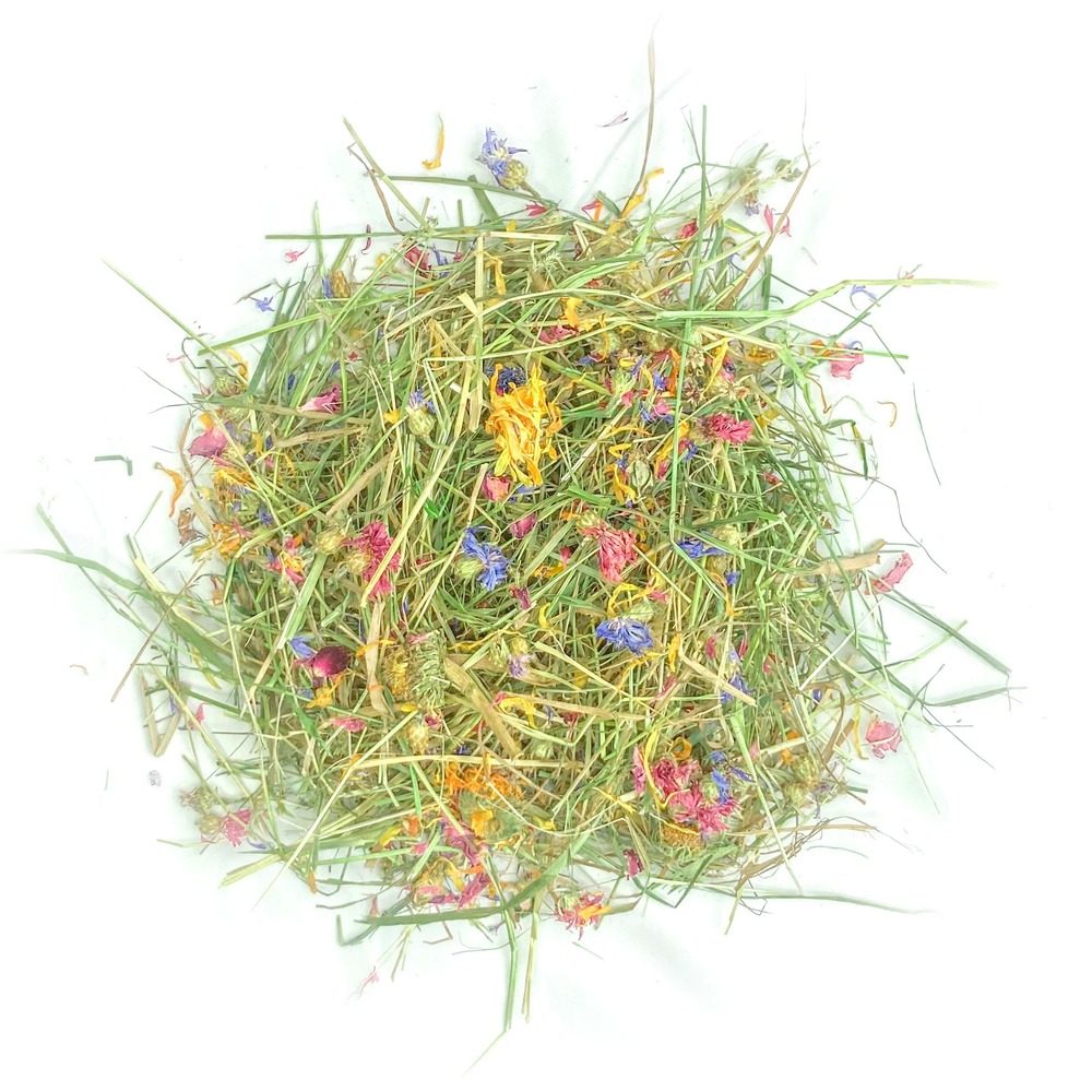 Foin aromatisé à l'échinacée pour lapins et rongeurs