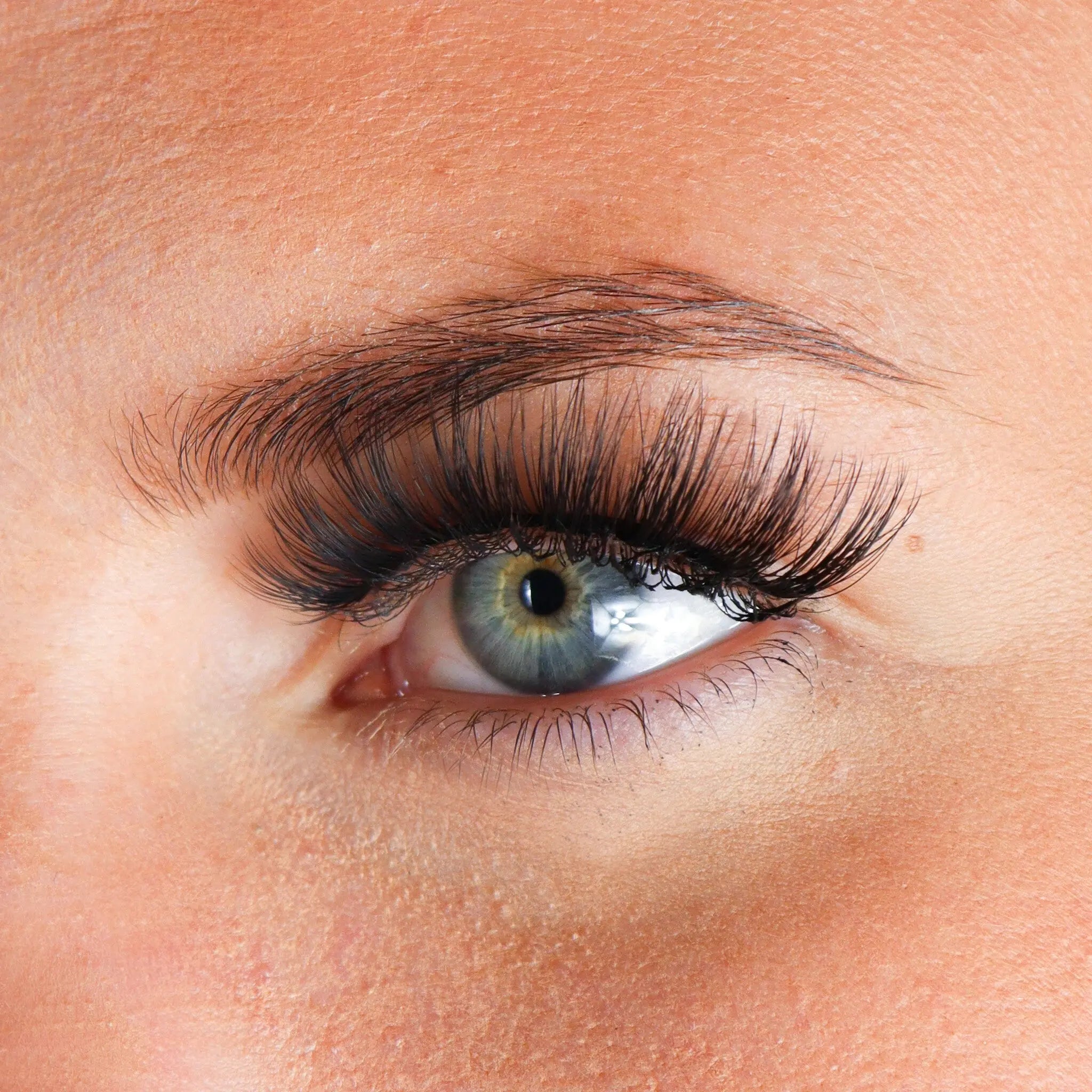Lashes Tisha