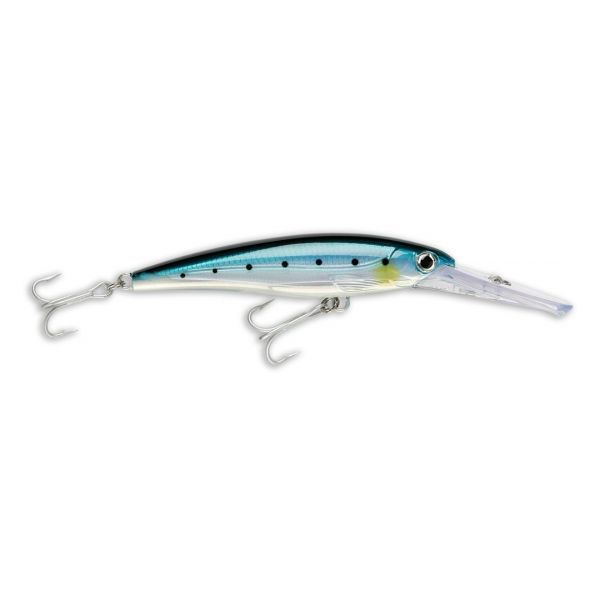 Rapala Amostra X-rap Mag 14CM Bsrd