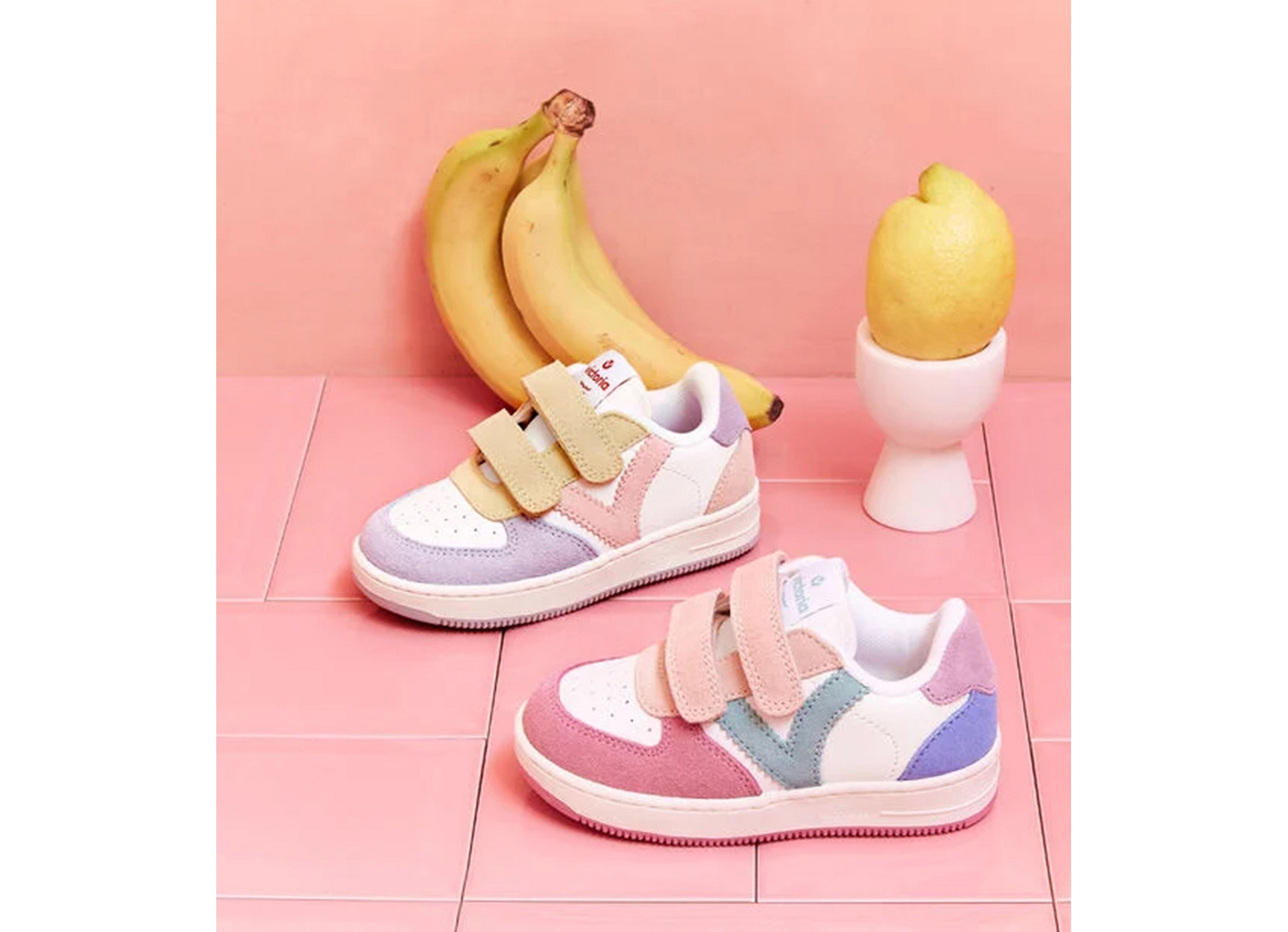 1124116 rose multicolore