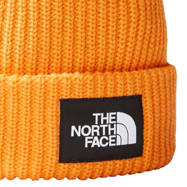 Bonnet ski THE NORTH FACE SALTY DOG BEANIE SUMMIT GOLD