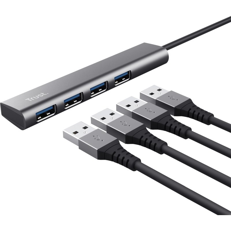 Trust Halyx USB 3.2 Gen 1 (3.1 Gen 1) Type-A 5 Mbit/s Gris