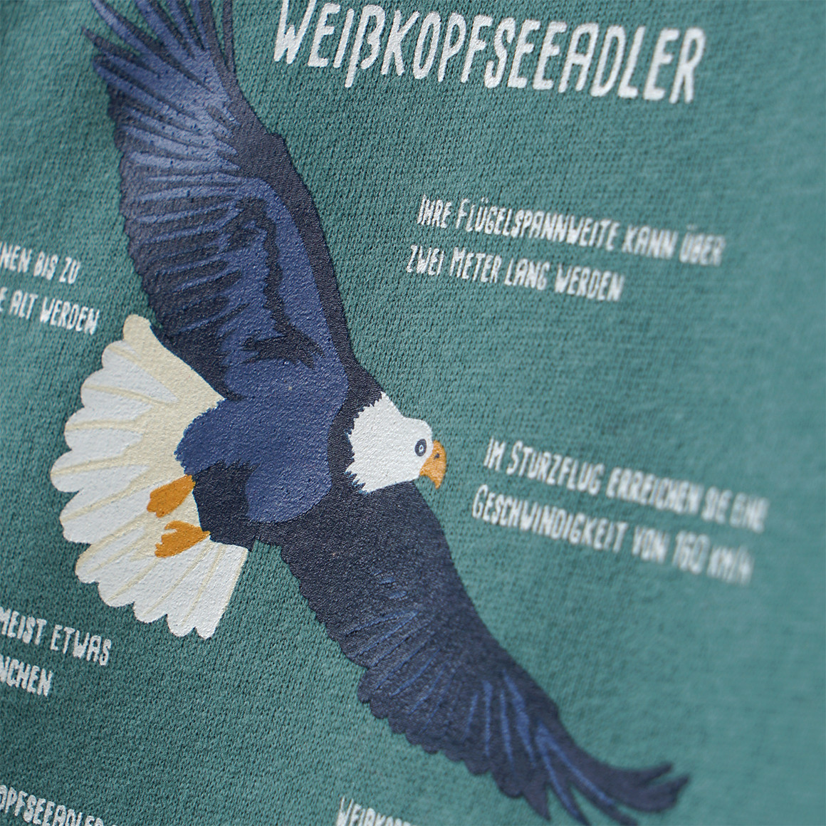 Topolino Kinder Sweatshirt mit Weißkopfseeadler-Motiv dunkelgrün