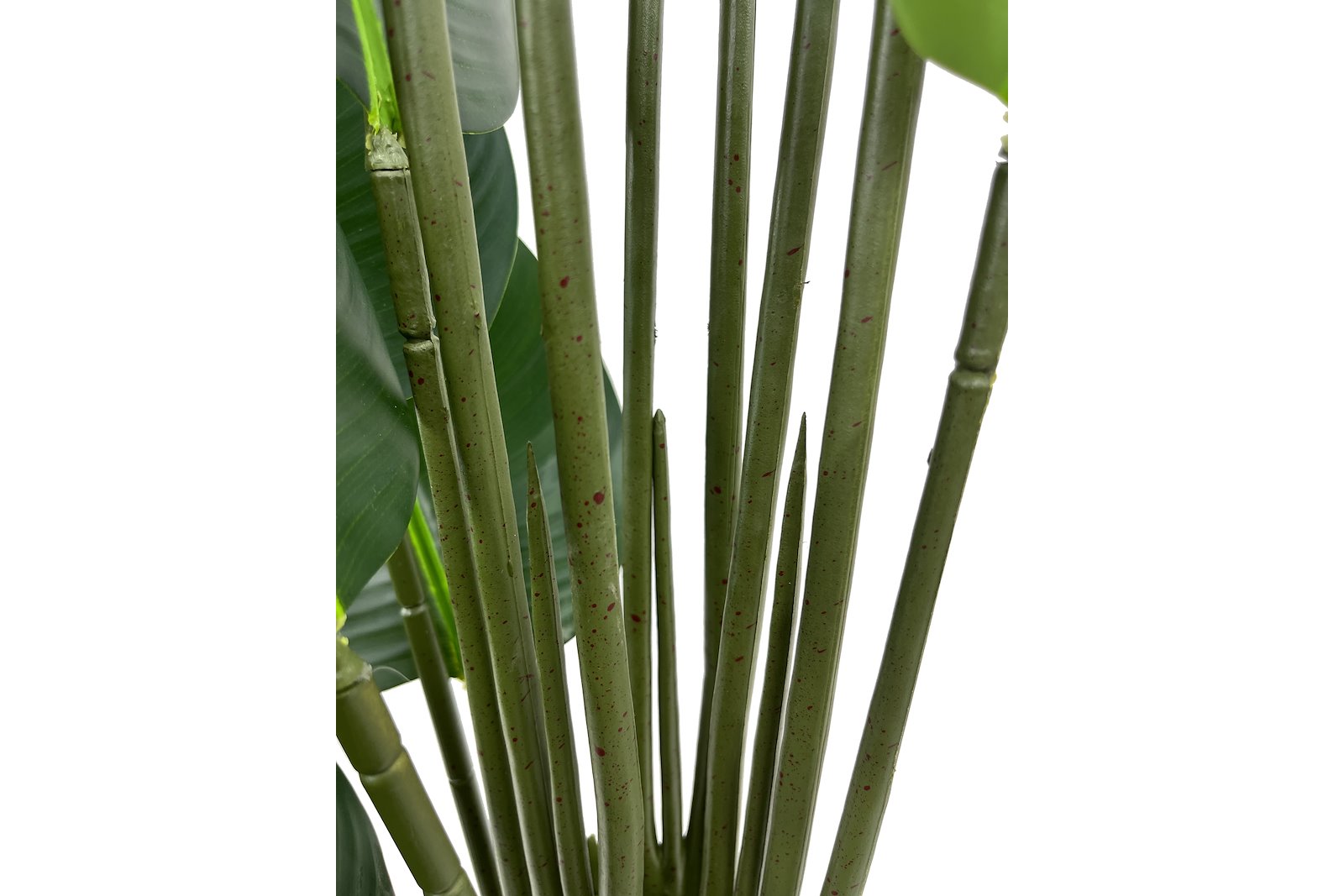 Banantre potteplante Grønn H120 cm