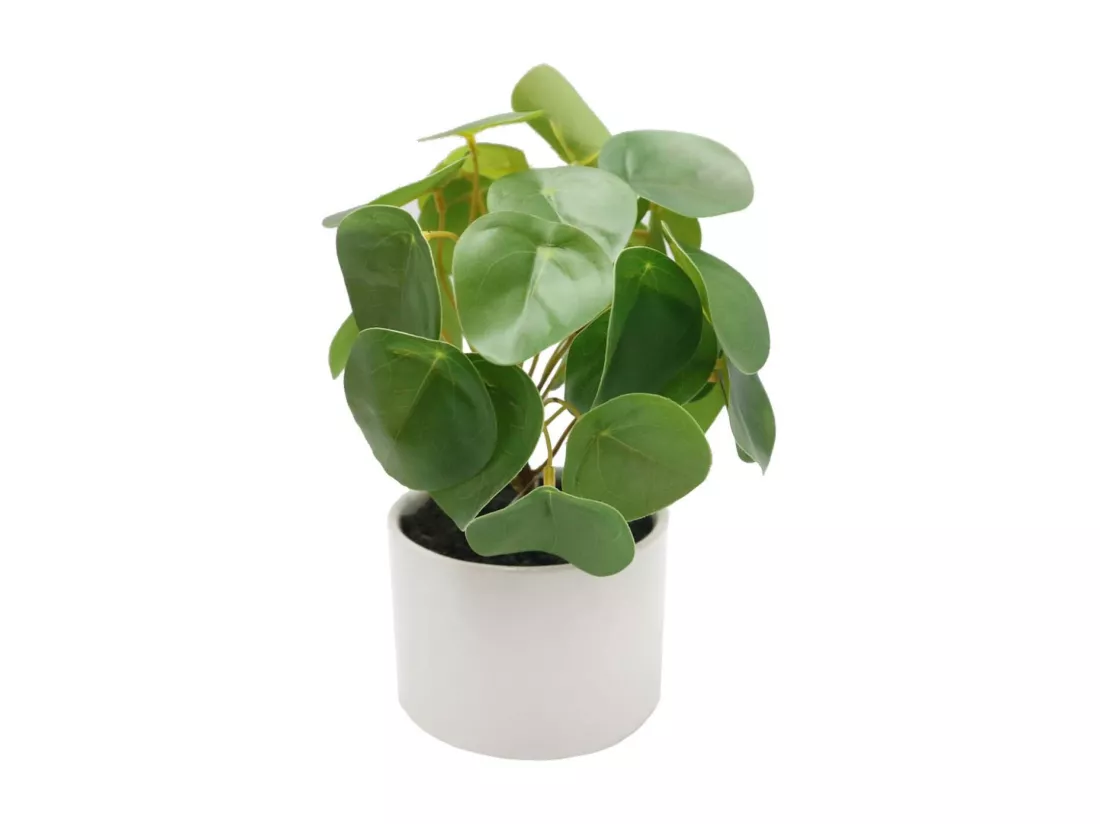 Pilea artificiel toucher naturel pot céramique