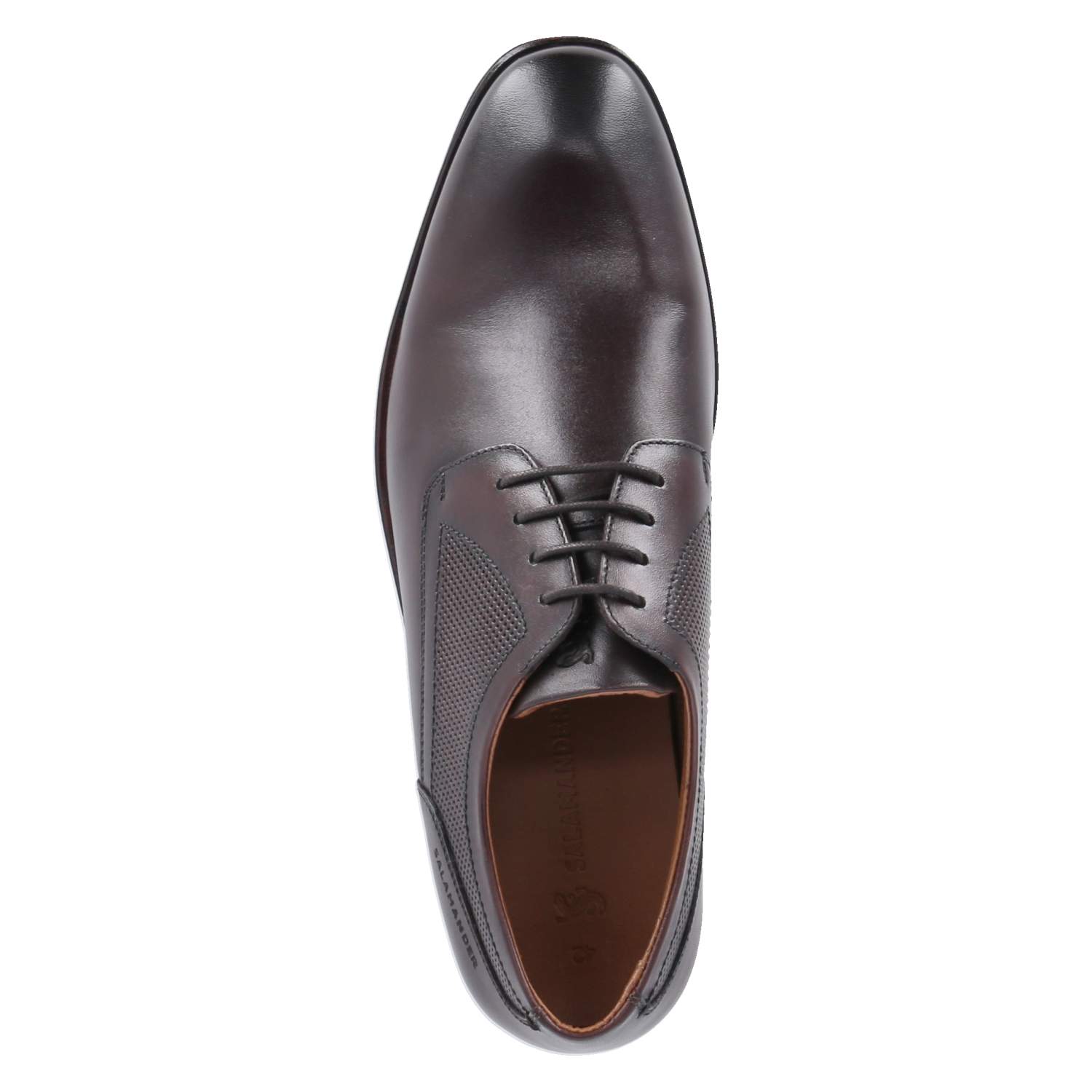 Salamander Halbschuhe - dark brown