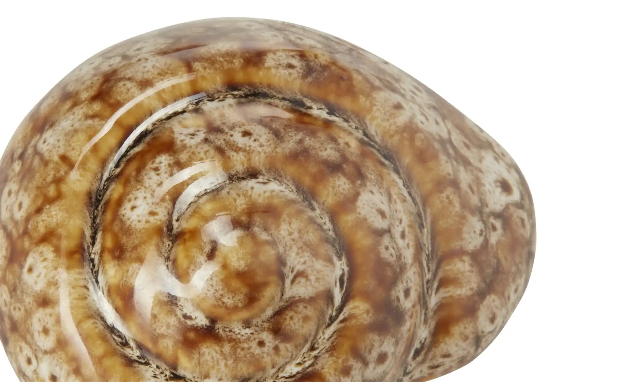 Deko Muscheln, sortiert