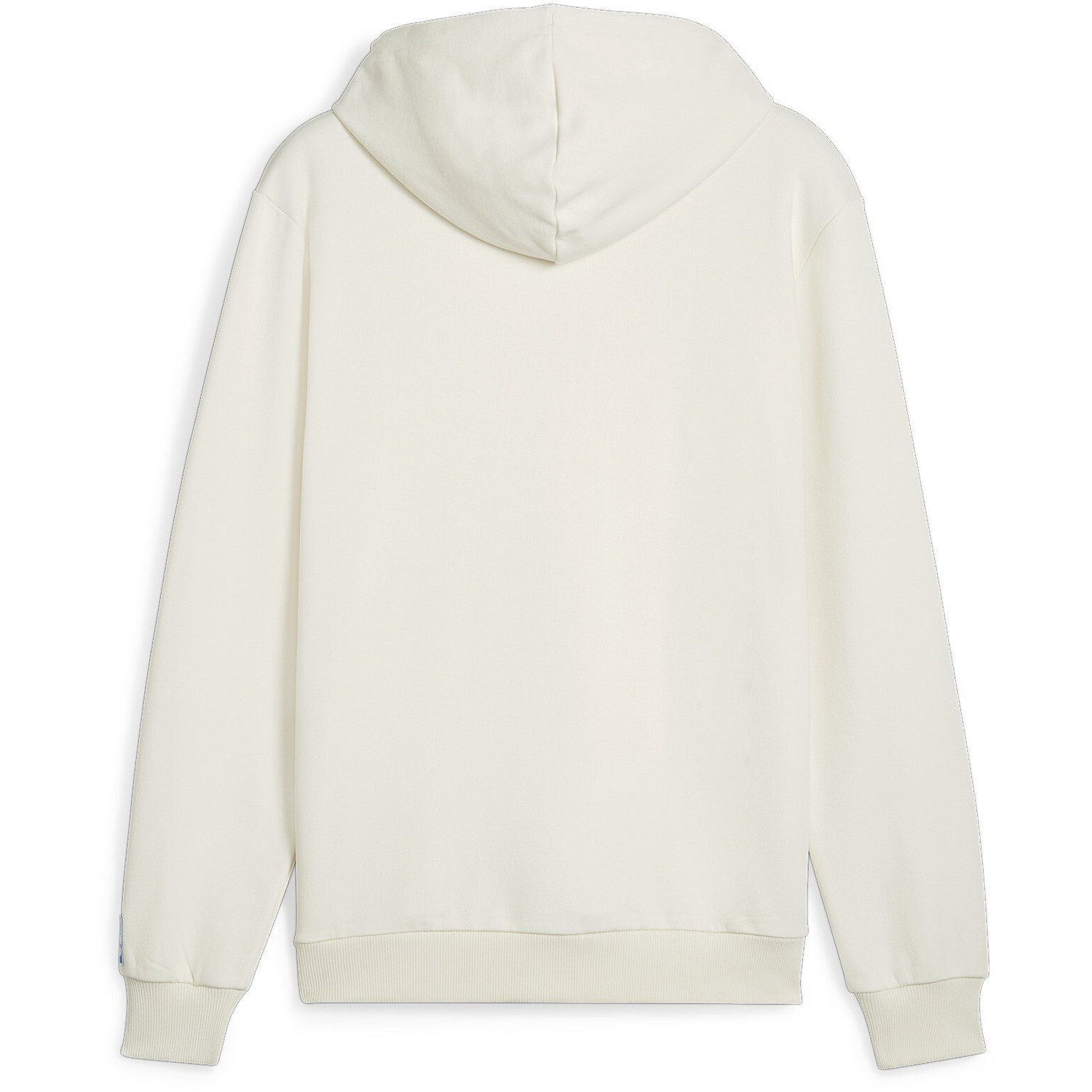 Puma Handball Hoodie