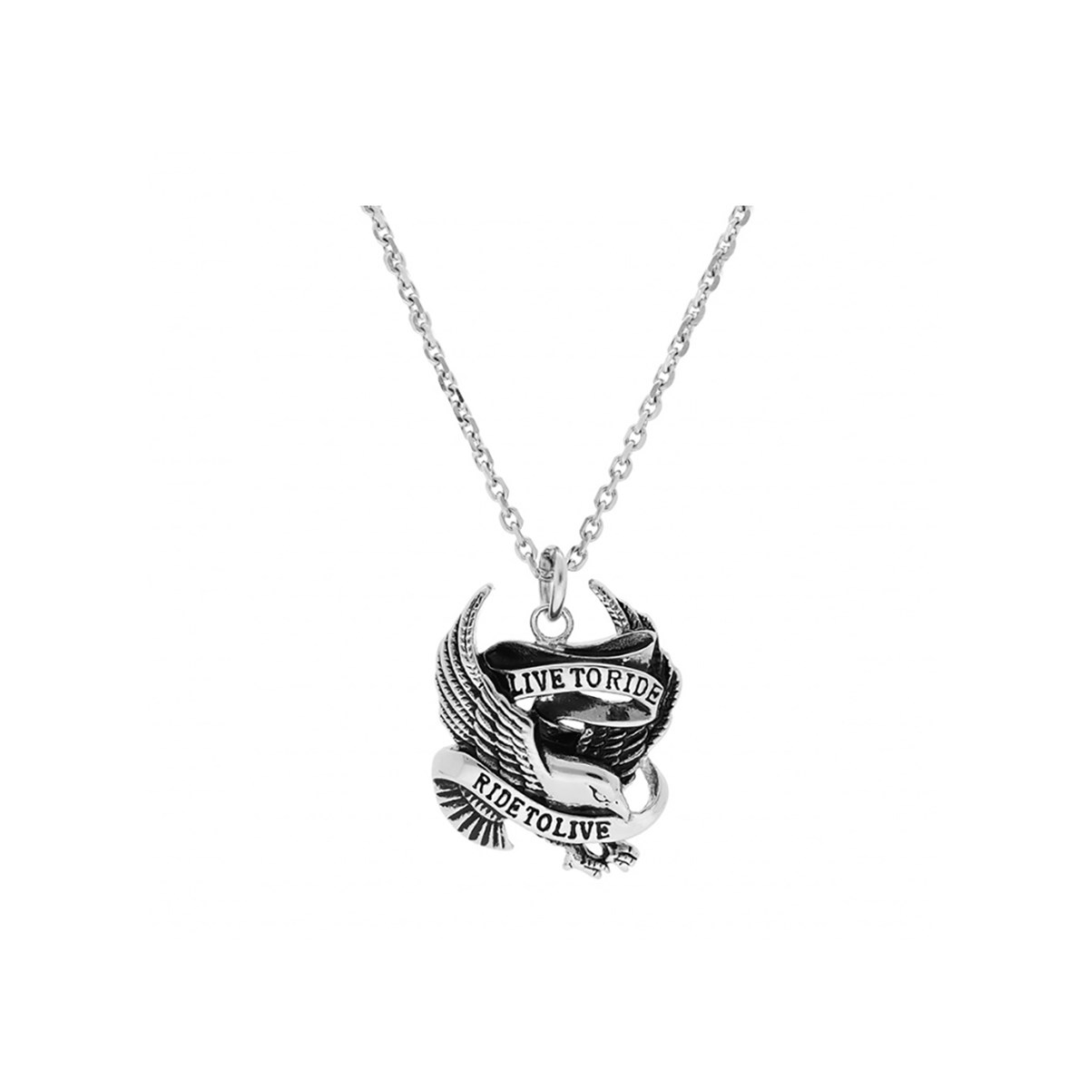 Collier Aigle biker - Acier
