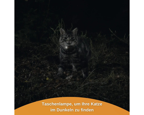 GPS tracker weenect voor katten, 28 g, 6 x 2,4 x 1,5 cm, zwart