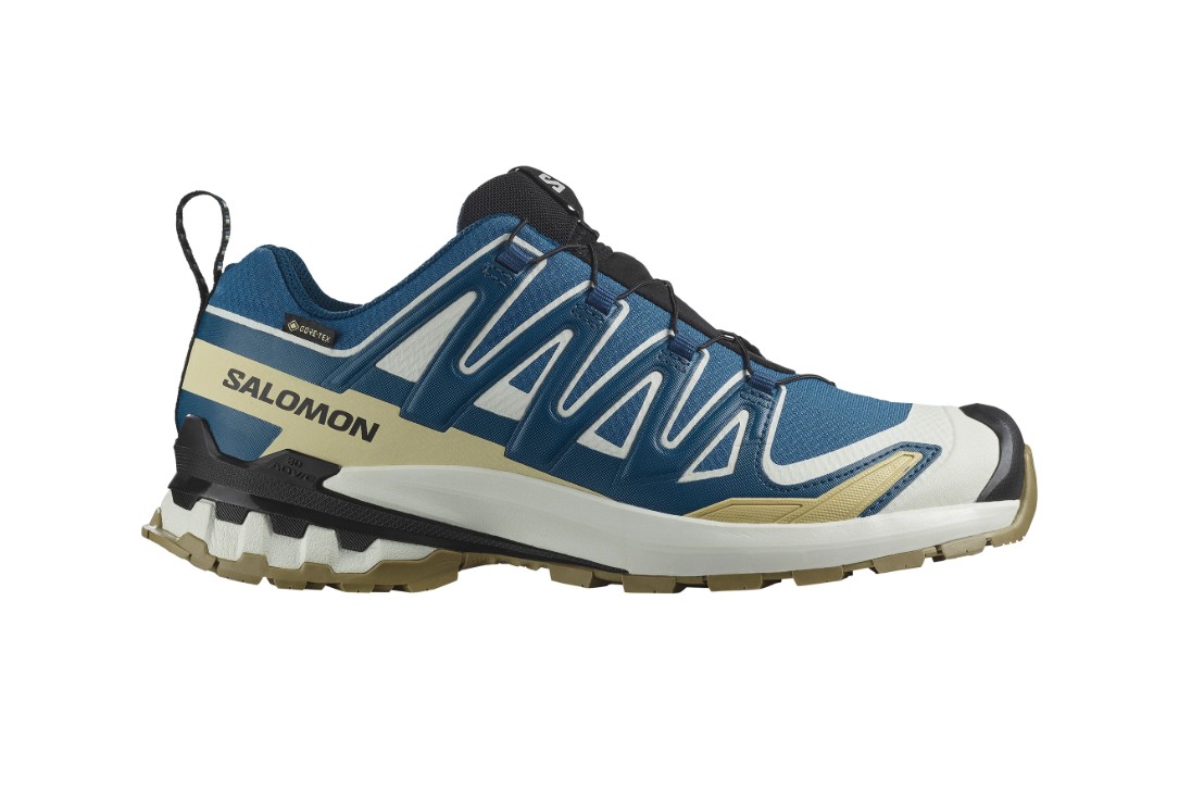 Salomon XA PRO 3D V9 GTX, Herre<br>Terrengløpesko