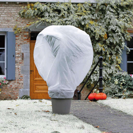 Voile d'hivernage Wintertex en polypropylène non tissé 30g/m² - 2x5m