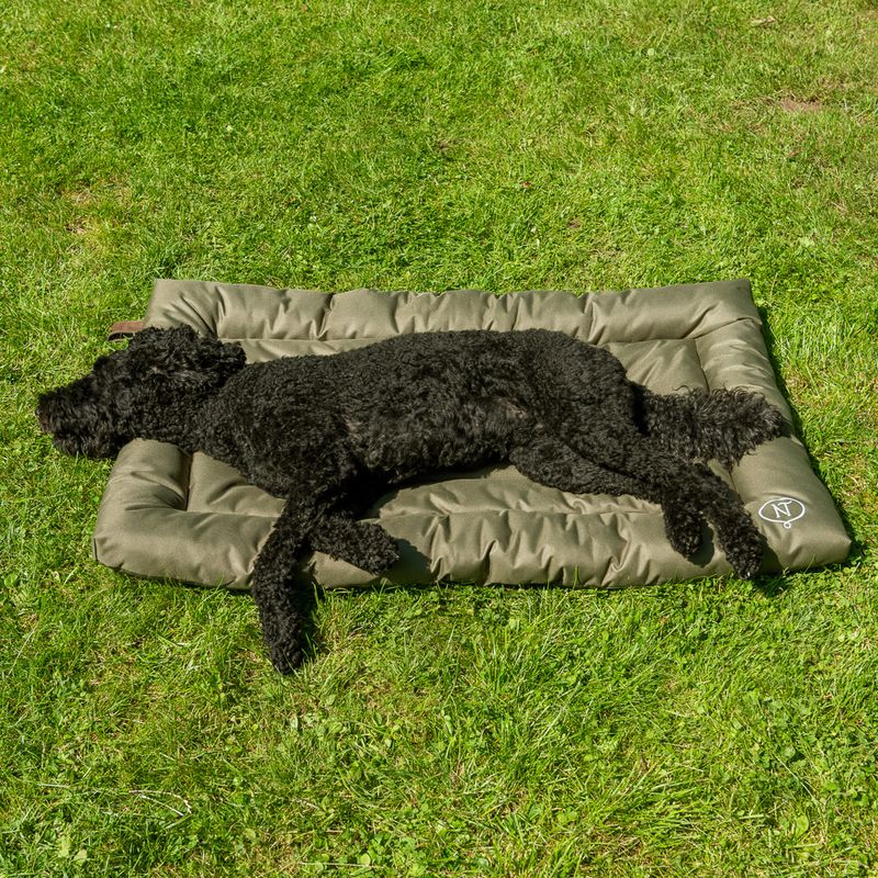 Coussin Nomad Tales Spirit Outdoor Pine