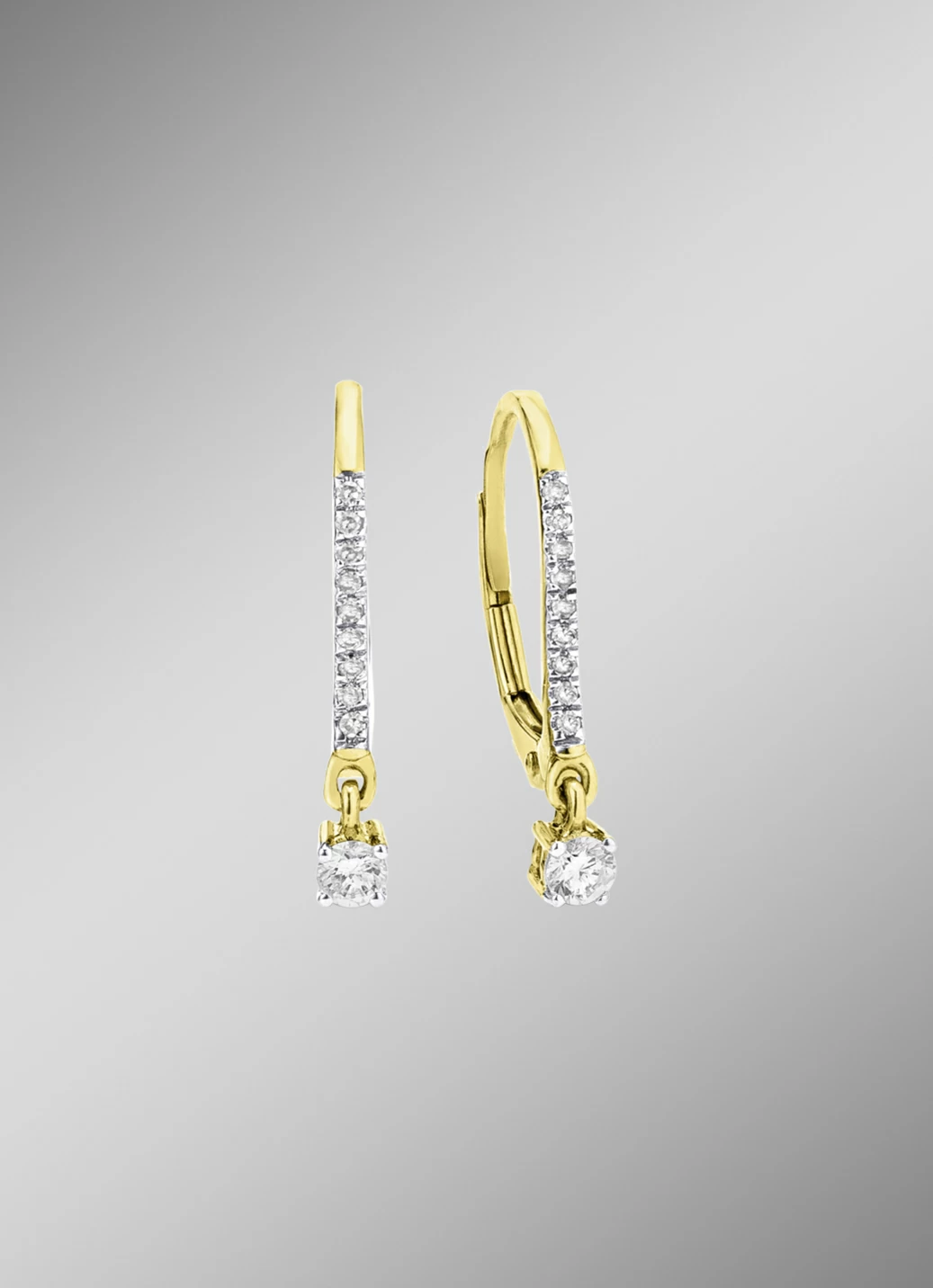 Edle Ohrringe mit 2 Brillanten und 18 Diamanten