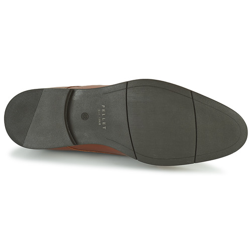Pellet - ARTHUR - Veau marron