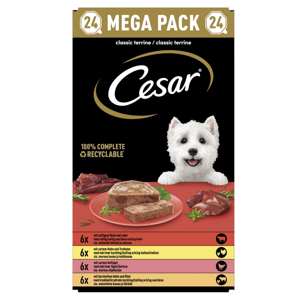 Cesar Alu Hondenvoer Multi-pack Kuipje Classic in Pate24 x 150 gr