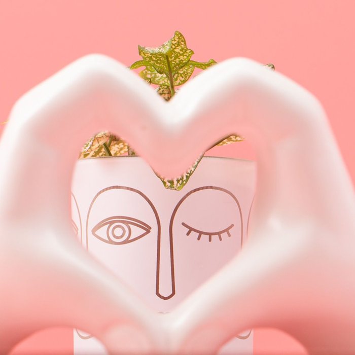Giftset | Love | Hypoestes plant met hart accessoire