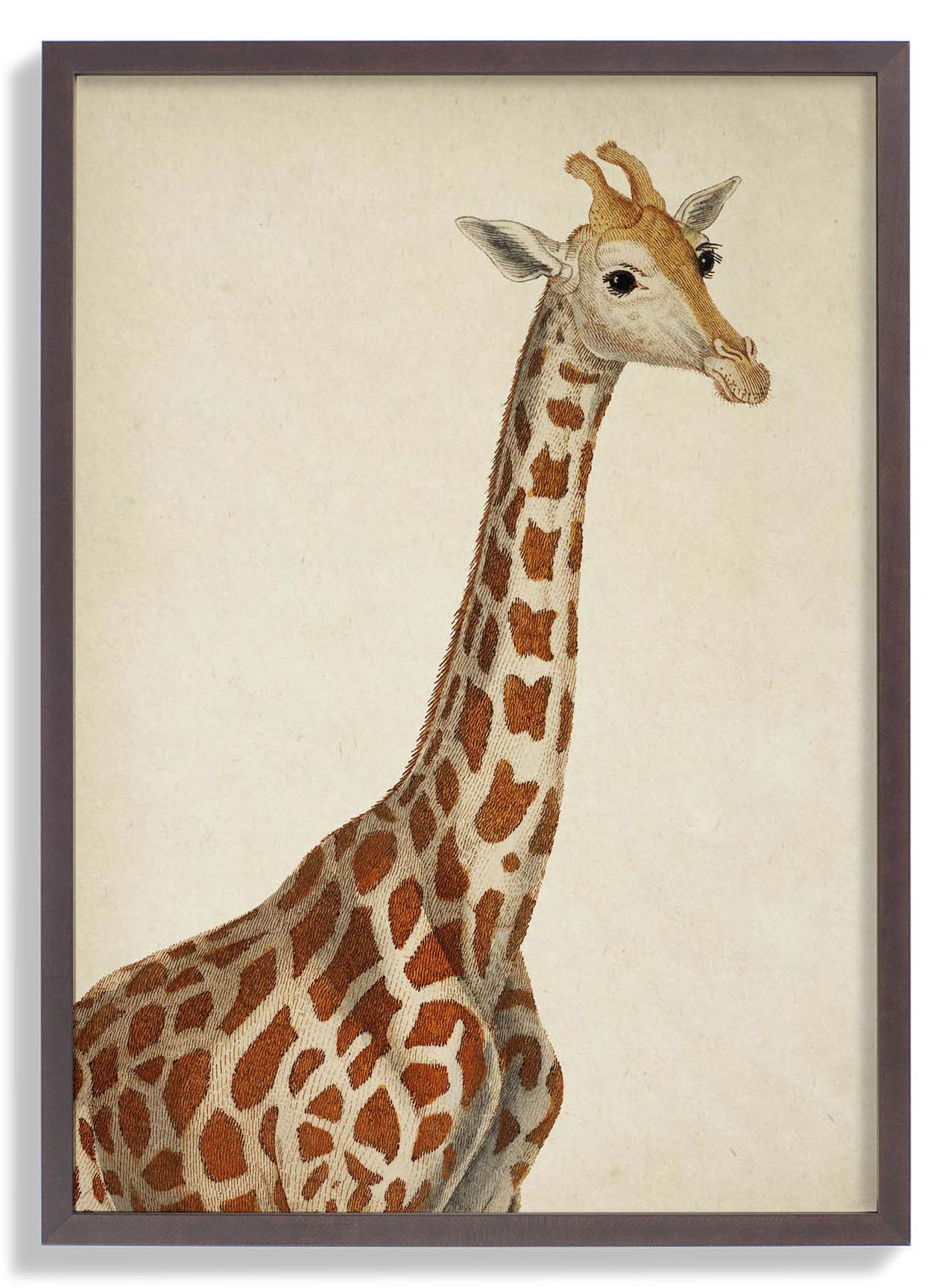 Antike Giraffe