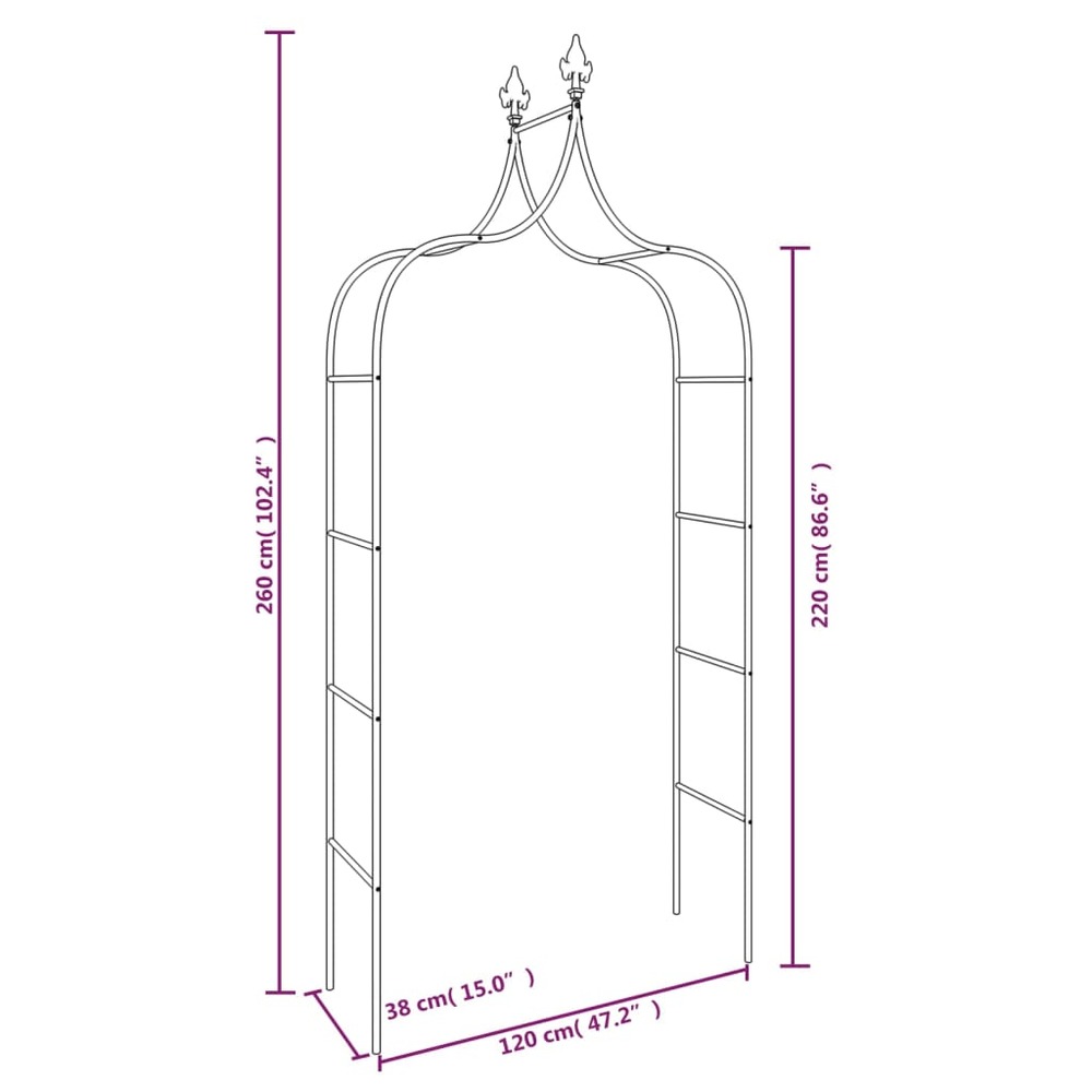Arches de jardin 2 pcs noir 120x38x260 cm acier