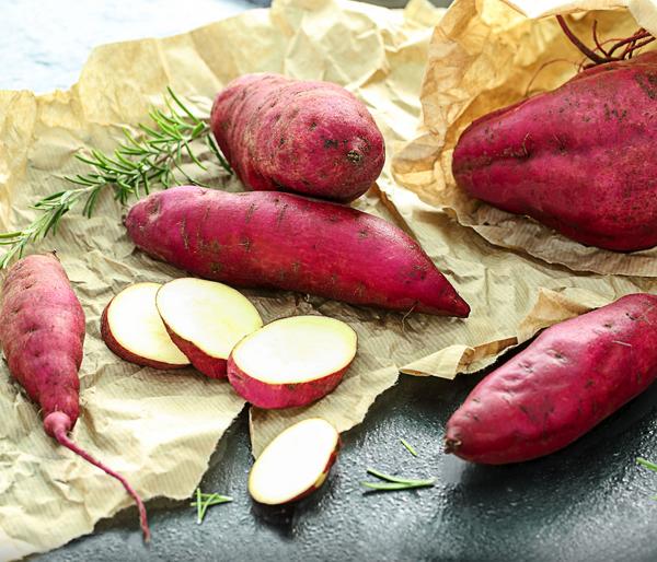 Dehner Gourmet Garten Süßkartoffel,