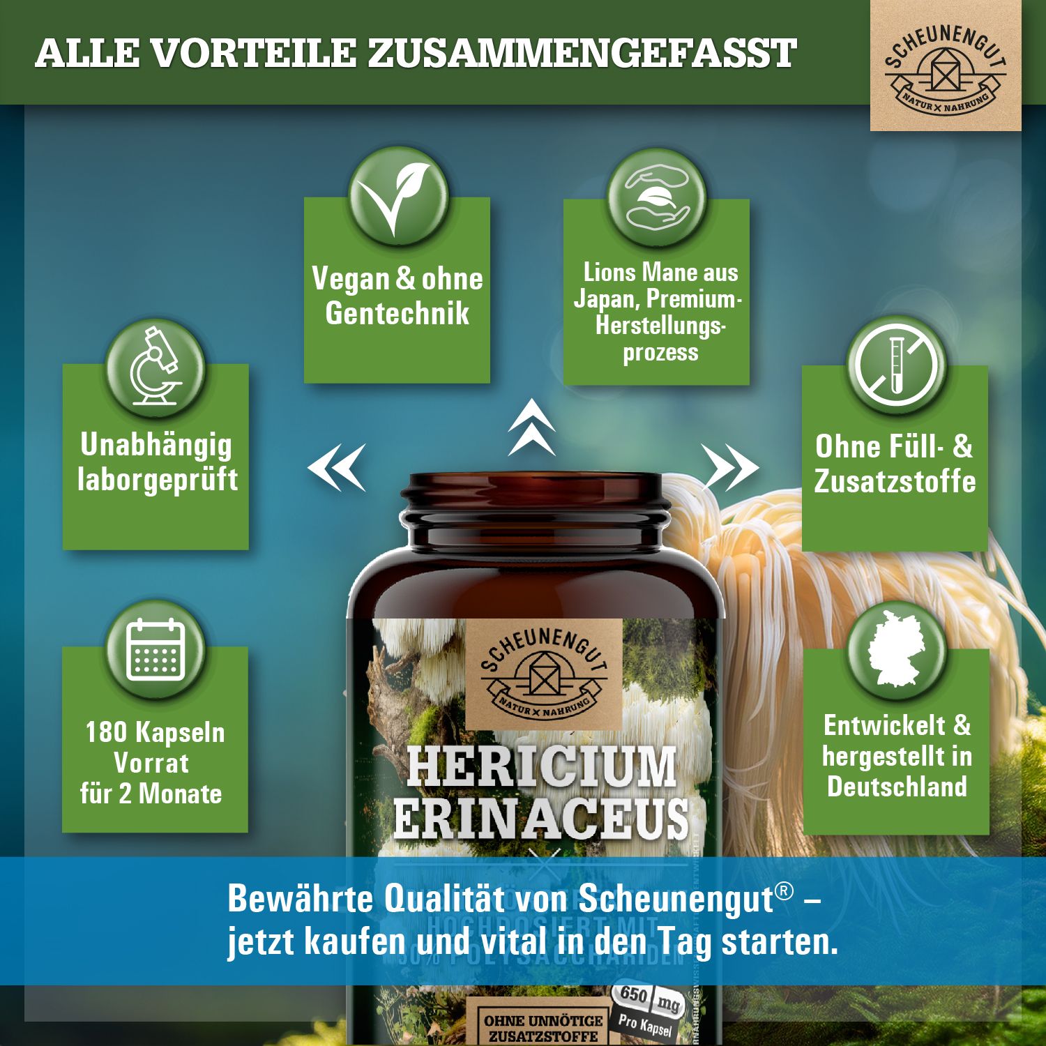 Scheunengut® Lions Mane | hochdosierter Hericium Erinaceus Extrakt 30:1 | 30% Polysaccharide