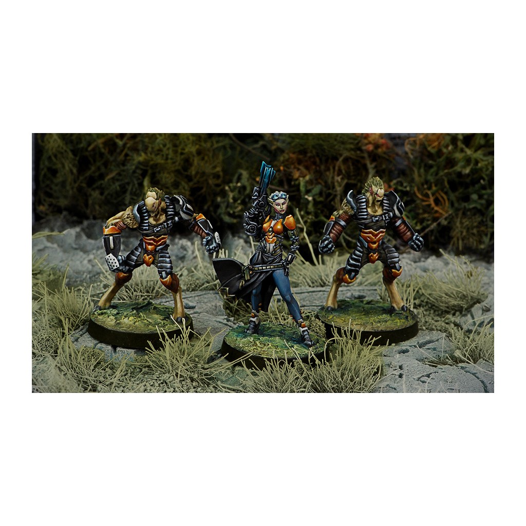 Infinity - Tohaa - Support Pack