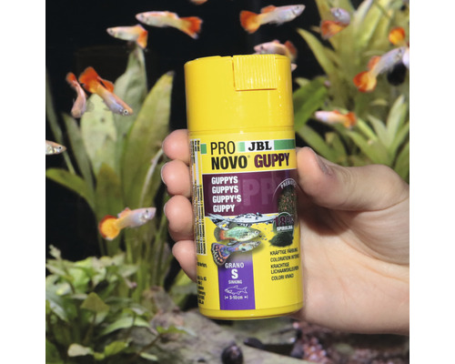 Korrelvoer JBL PRONOVO GUPPY GRANO maat S 100ml