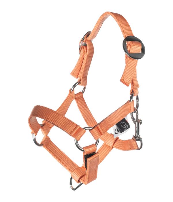 HKM KIDS Hobby Horsing Basic Halfter und