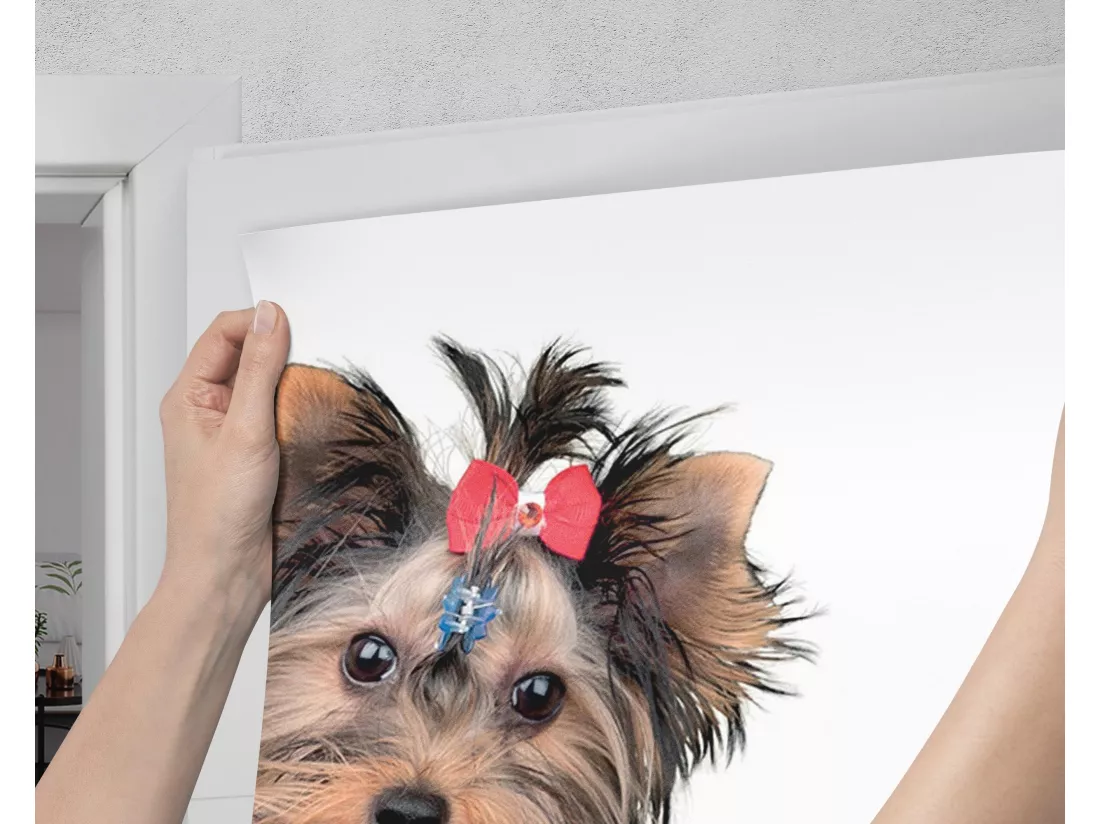 Stickers de porte autocollants - Trois chiens ensemble 75x205 cm