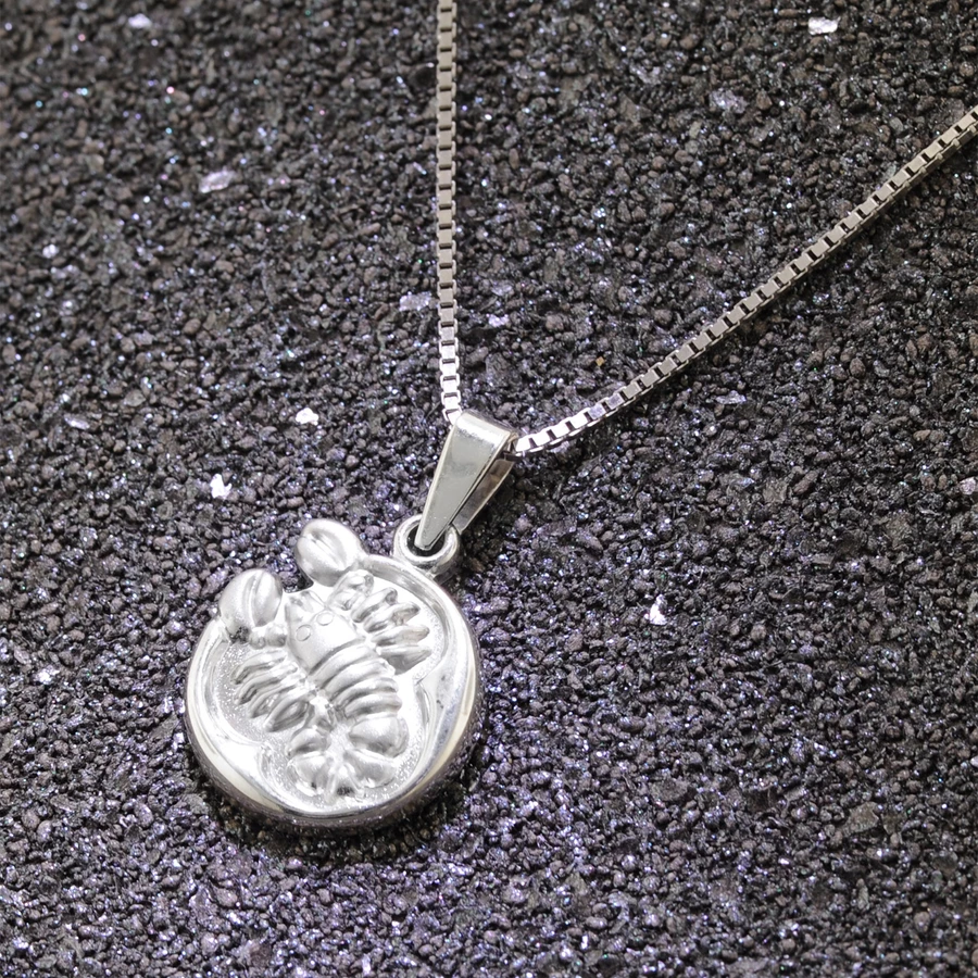 trendor Skorpion Sternzeichen mit Halskette 925 Silber Ø 15 mm silver