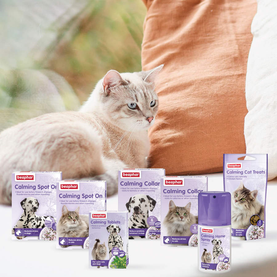 Petiscos antiestresse Beaphar para gatos