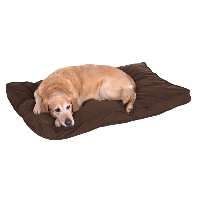 Coussin Cozy Mocca à prix discount sur bitiba.fr