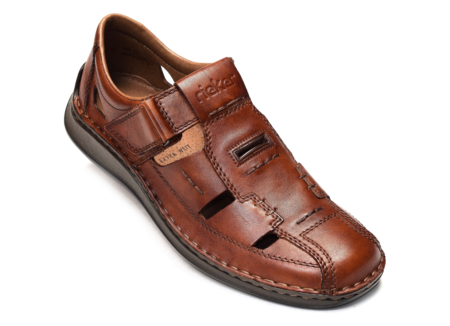 05284 camel