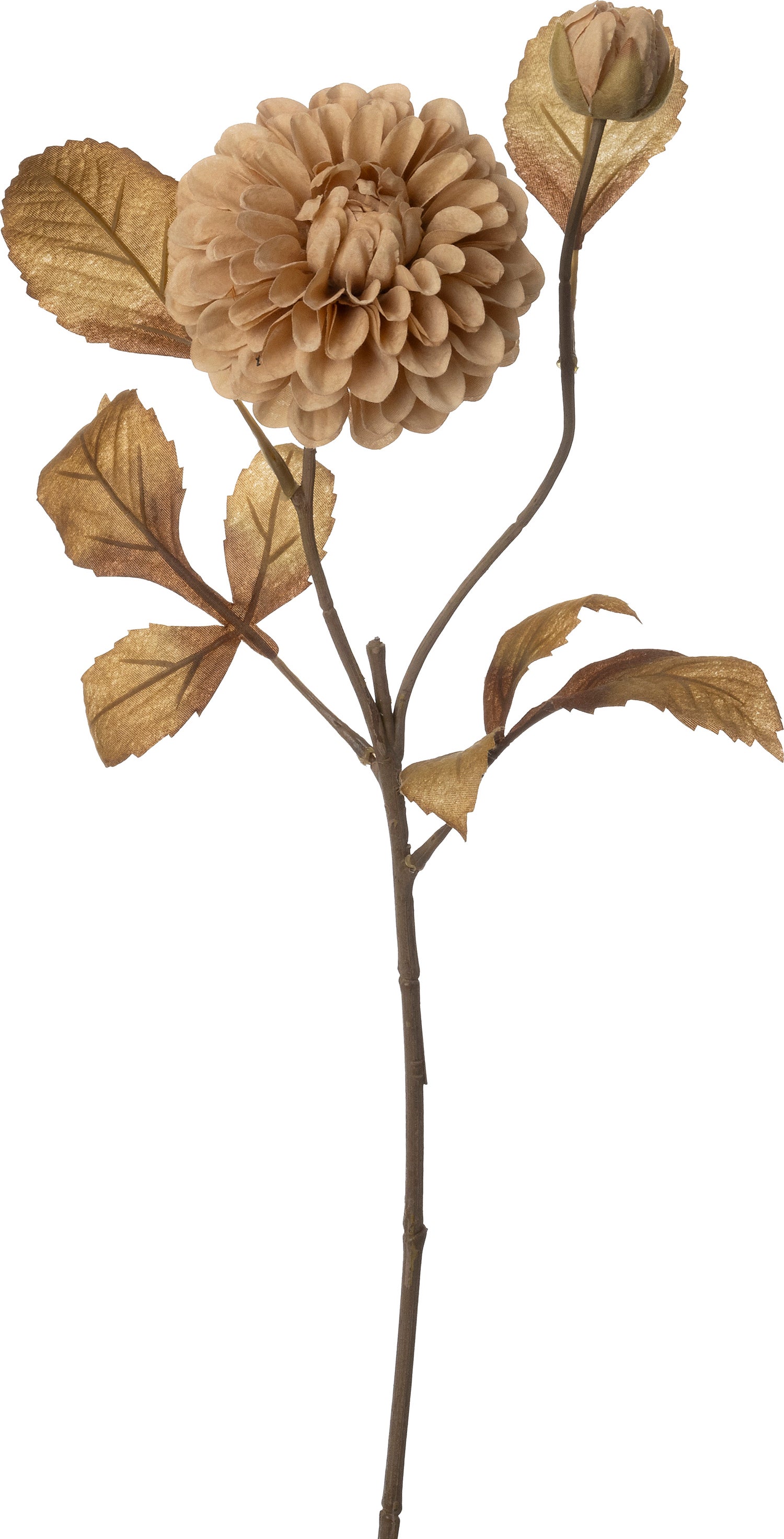 Intratuin kunstbloem Dahlia beige 62 cm