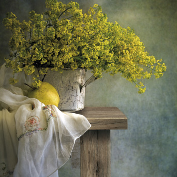 Decoratiefolie Sanremo sepia 346-8101 67,5x200cm