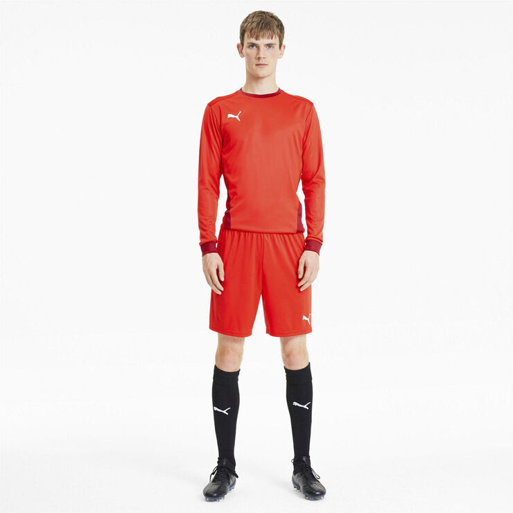 Puma Teamgoal 23 Knit shorts Rød