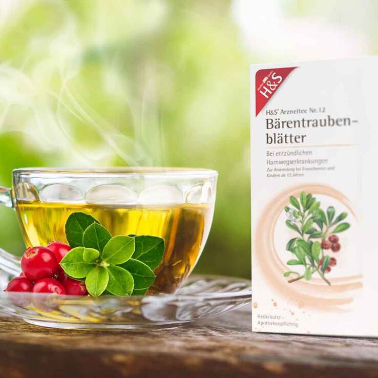 H&S Bärentraubentee Filterbeutel, 20X2.7 g