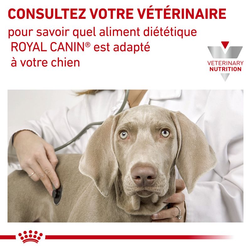 Royal Canin Veterinary Canine Skin Care Small Dog