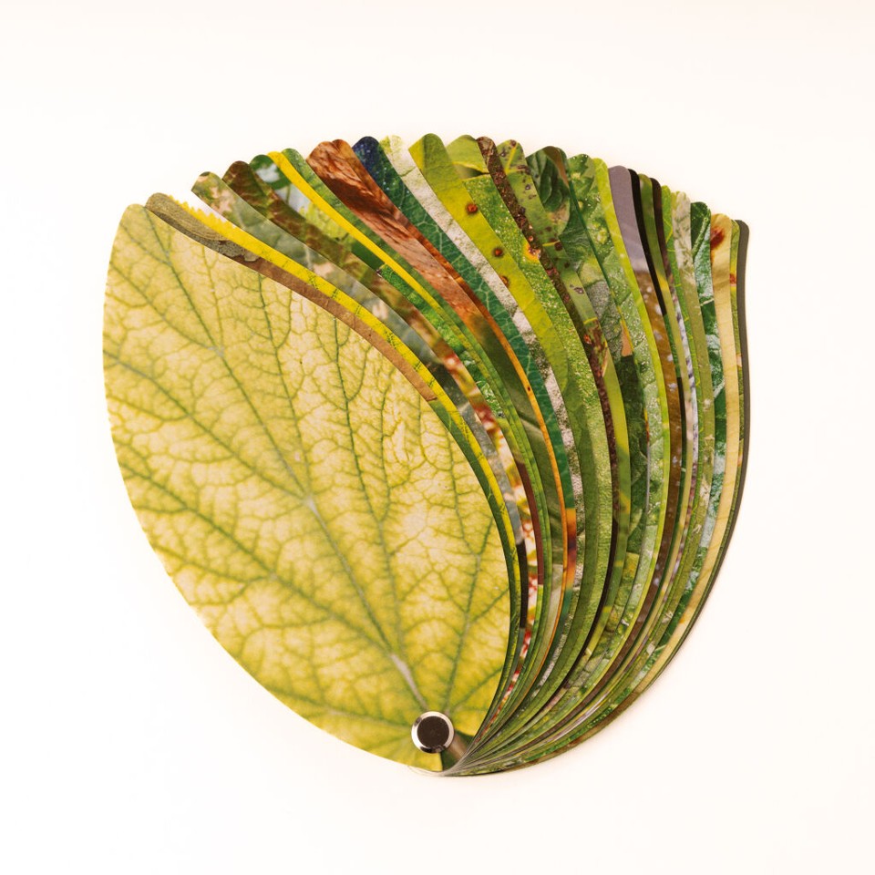Healthy Plant Book