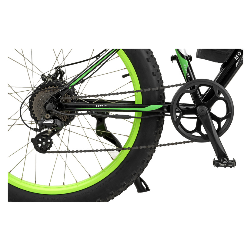E-fatbike 26