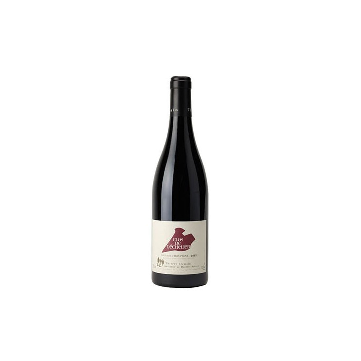 Domaine des Roches Neuves Saumur-Champigny 