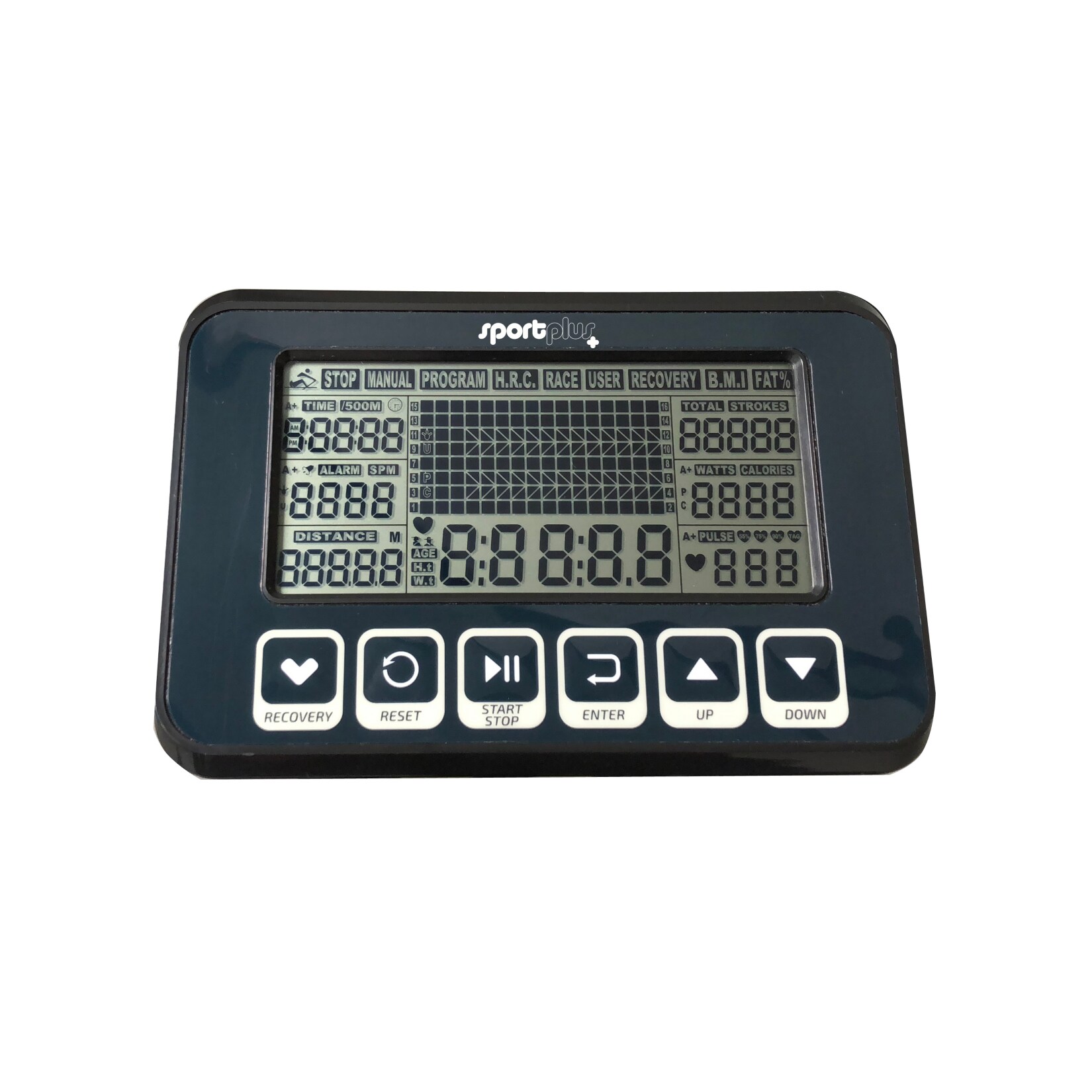 SPORTPLUS SP-MR-011 Wasserrudergerät