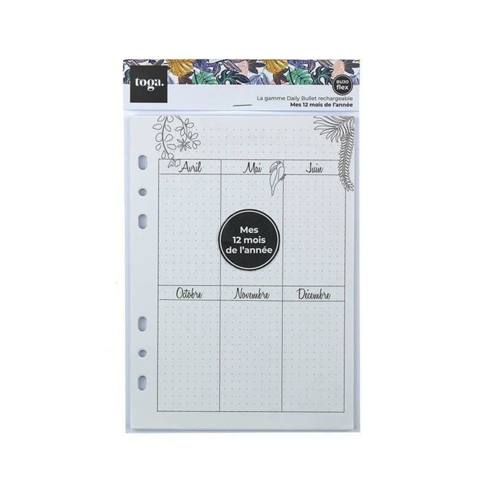Recharge bullet journal - pages mensuelles