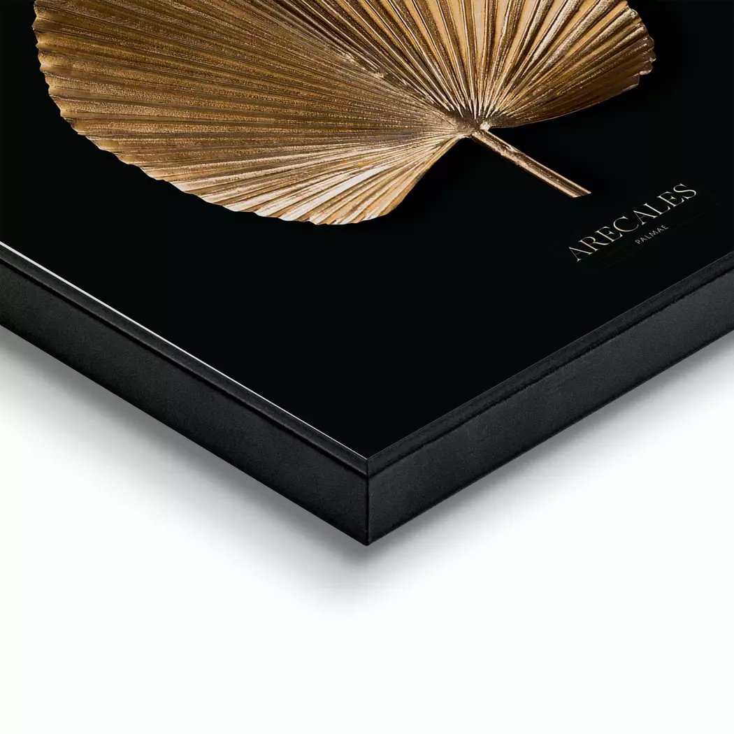 Wandbild 50 x 50 cm Areca Gold