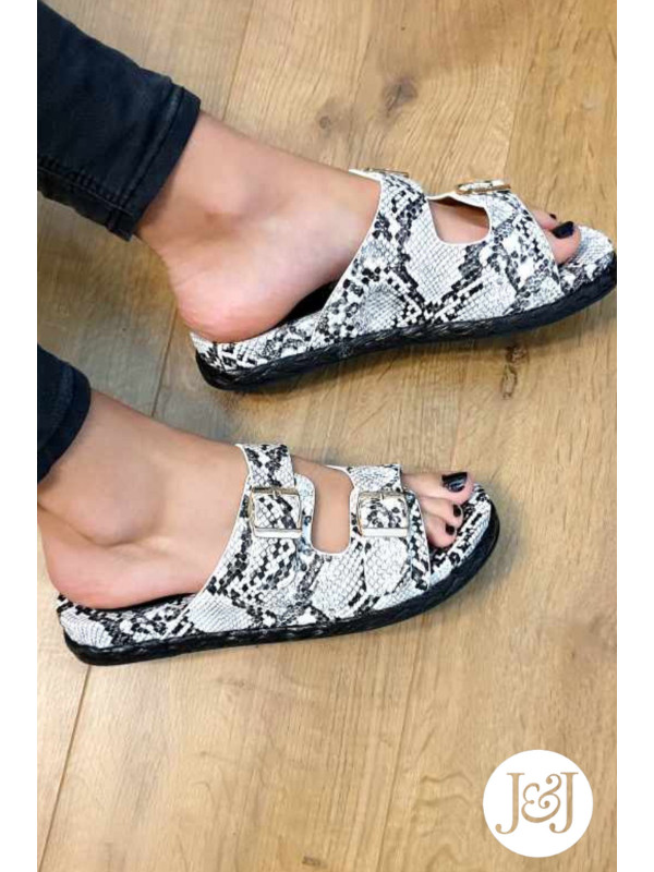 Nu-pieds python 'Dee'
